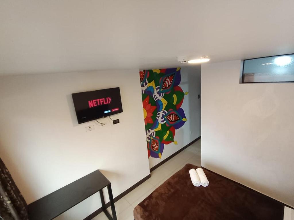 TV a/nebo společenská místnost v ubytování Hidden Garden