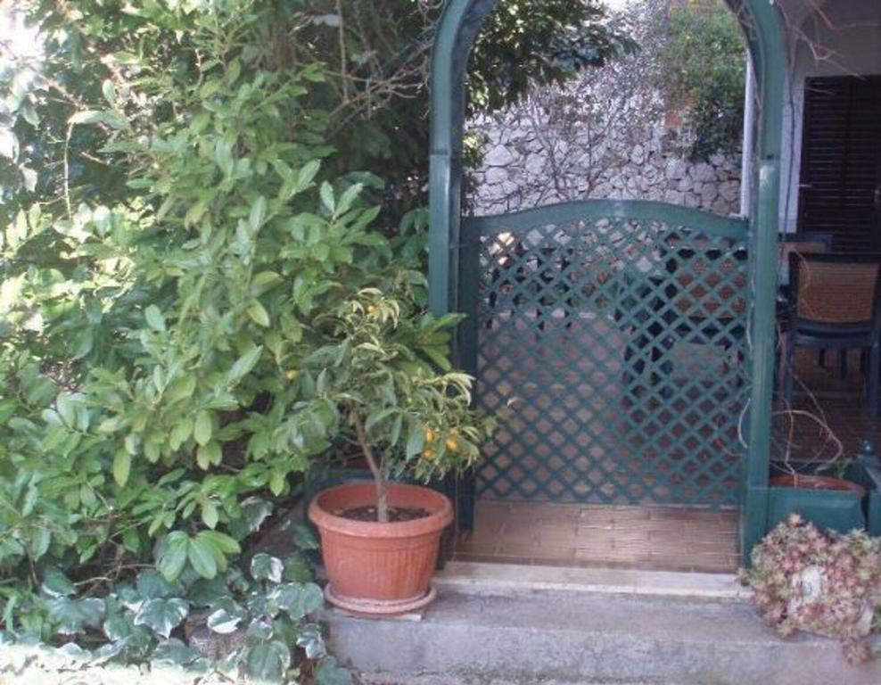 Vonkajšia záhrada v ubytovaní Apartment Biserka