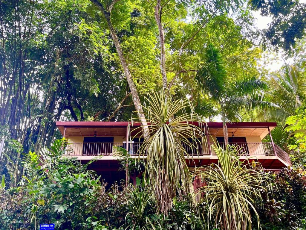 Bali inspired Casa Cascada w Jungle views pool