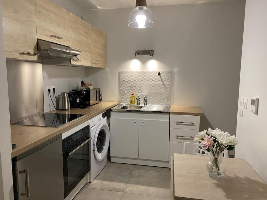 une cuisine avec un évier et un lave-vaisselle dans l'établissement Petit studio cosy près du centre, à Strasbourg