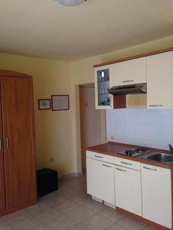Küche/Küchenzeile in der Unterkunft Apartments Villa Kristina