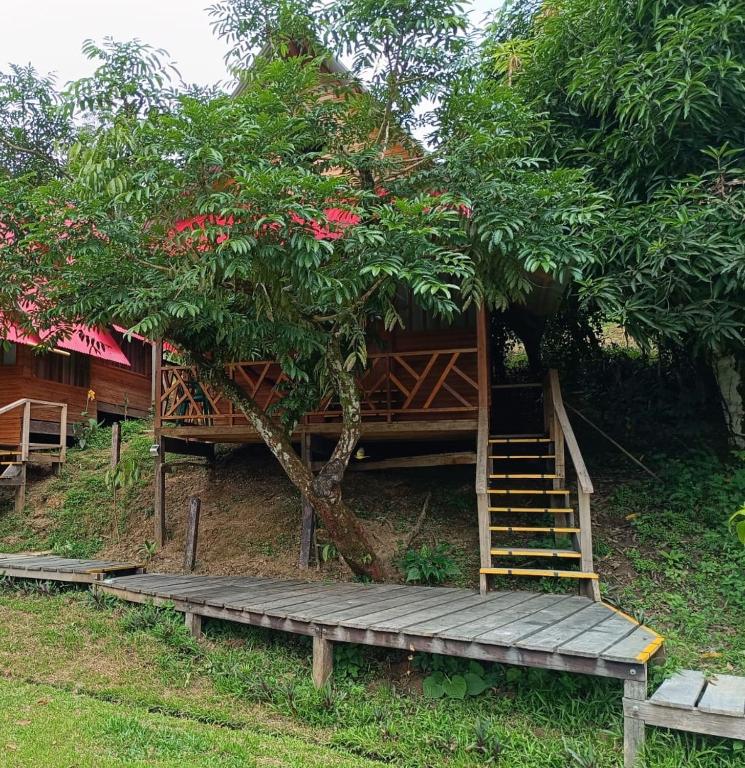 Eware Refugio Amazonico