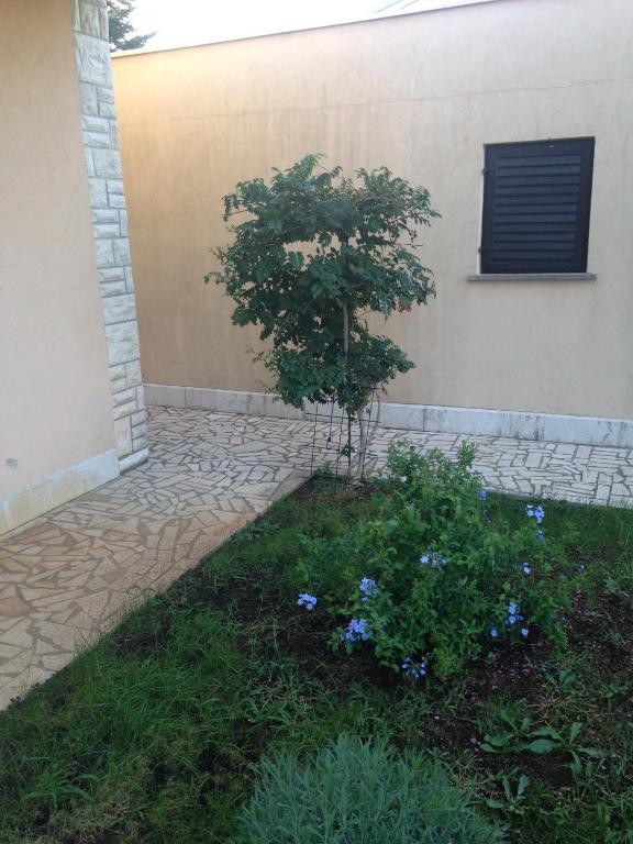Ein Garten an der Unterkunft Apartments Villa Kristina