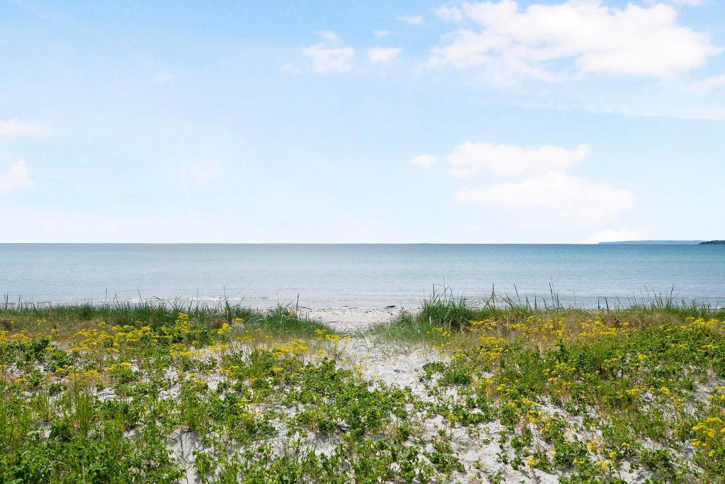 a beach with flowers and the ocean in the background at Nice Home In Knebel With 4 Bedrooms And Wifi in Knebel