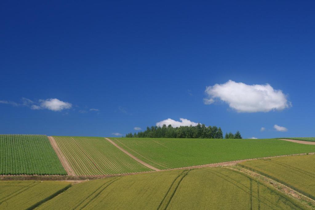Příroda nedaleko penzionu