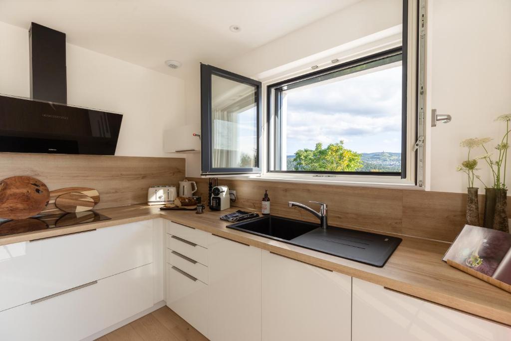 Kuchyň nebo kuchyňský kout v ubytování Appartements du comte de Dabo