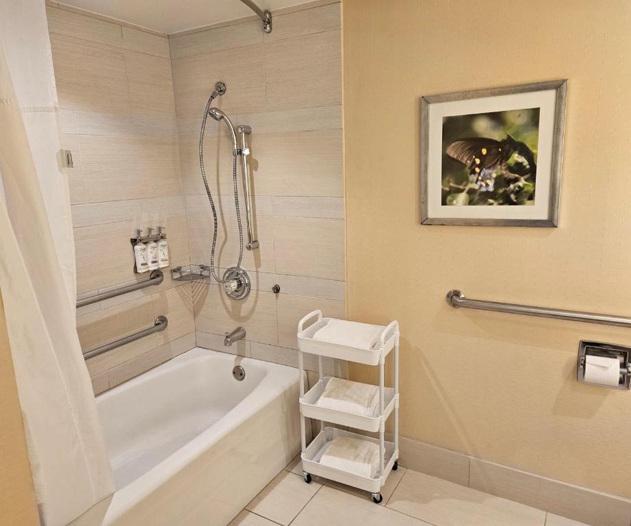 Holiday Inn Austin -Town Lake, an IHG Hotel - 