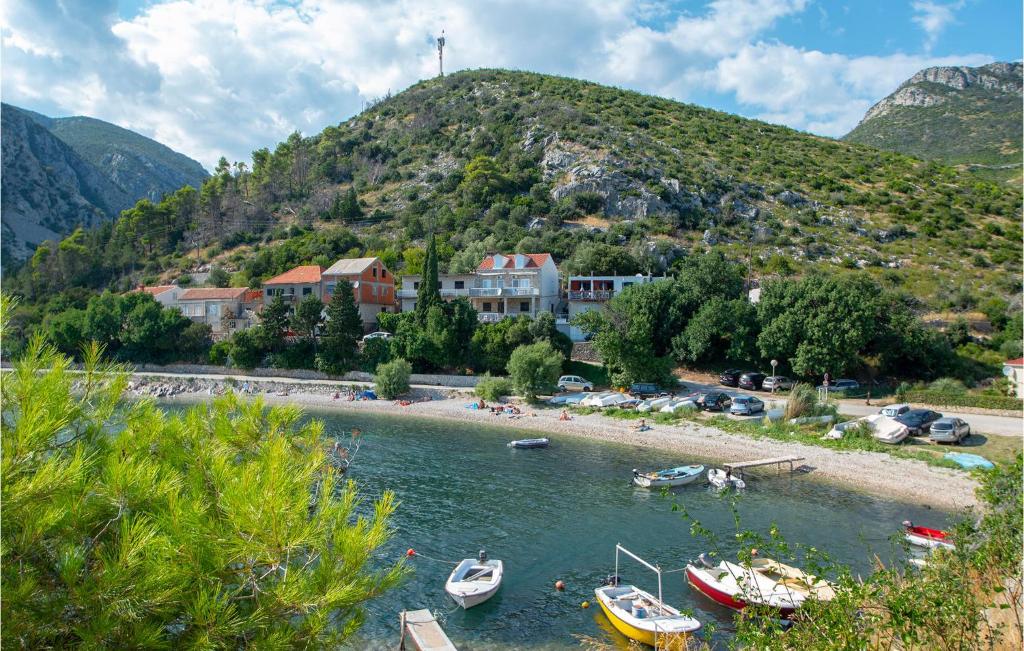 Príroda v okolí apartmánu