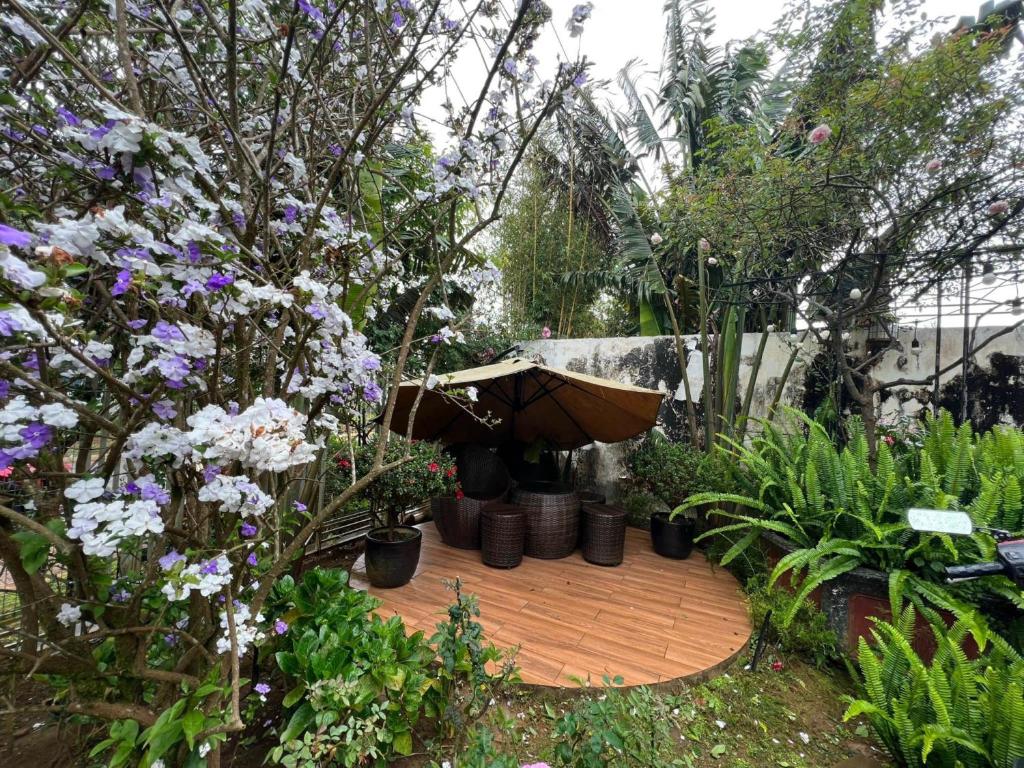 Κήπος έξω από το Vườn Trà HomeStay Măng Đen