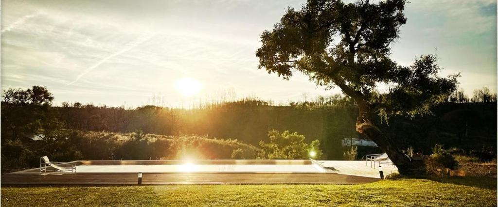 a large pool in a field with a tree at Choeiro Verde - Casa de Campo na Costa Vicentina in Brejao