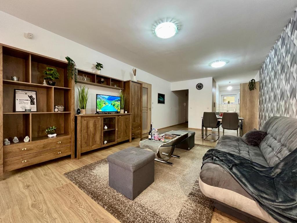 ein großes Wohnzimmer mit einem Sofa und einem TV in der Unterkunft City Centre Simonffy Apartment in Debrecen