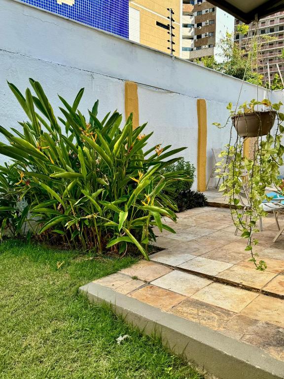フォルタレザにあるAlbergaria Hostelの壁に植物のあるパティオ
