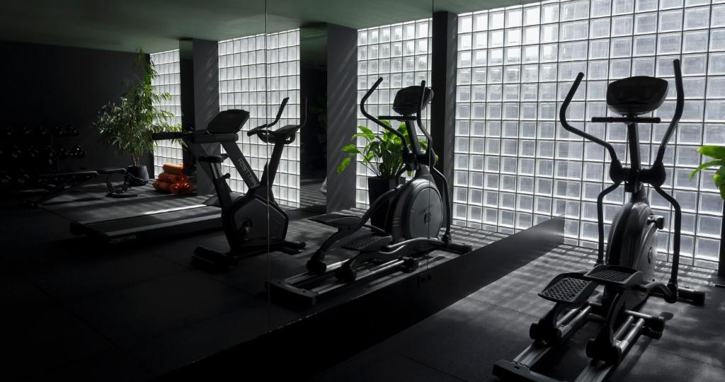 Fitness centrum a/nebo fitness zařízení v ubytování Episode Tbilisi