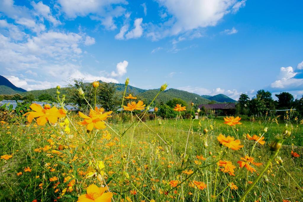 Society House Luxury Hostel - 13