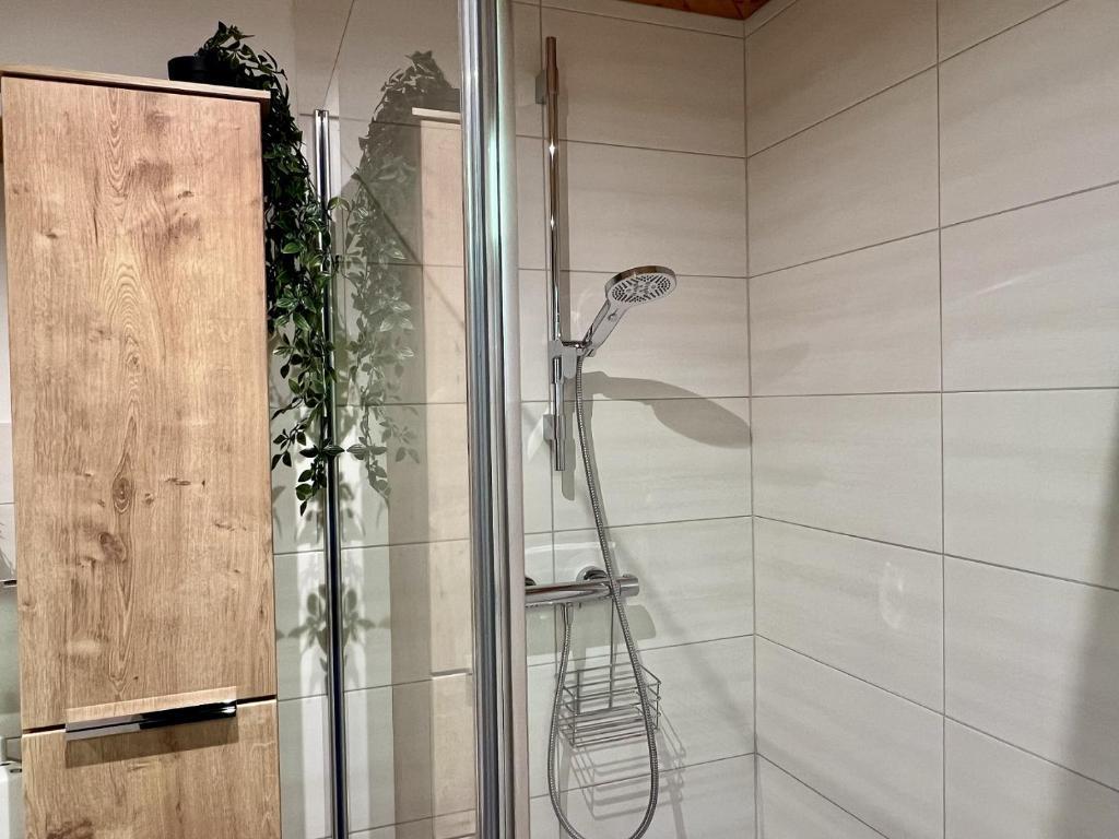 Koupelna v ubytování Appartement Pauline
