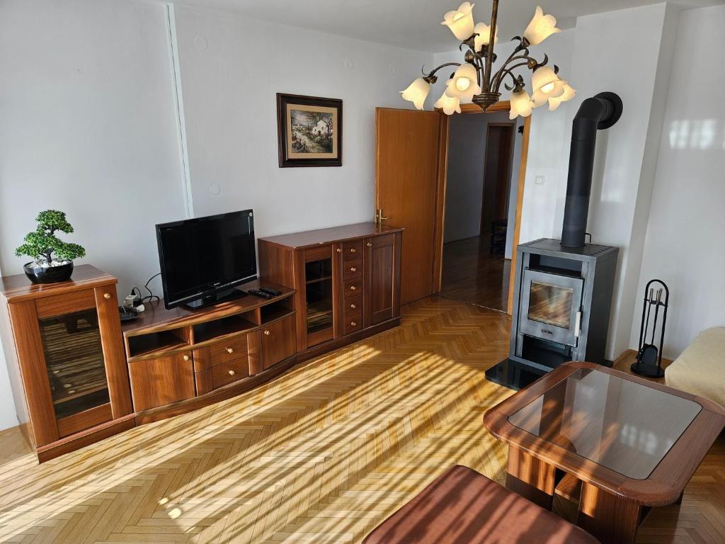 TV a/nebo společenská místnost v ubytování Apartment Josipina