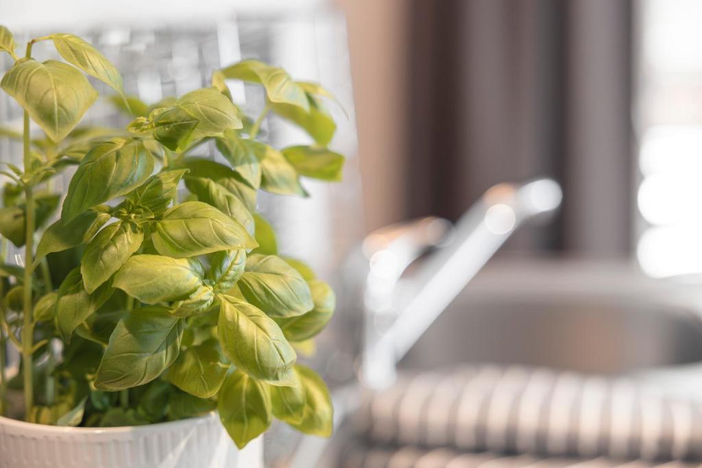 Posteľ alebo postele v izbe v ubytovaní Alpen-Appartements Zürcher