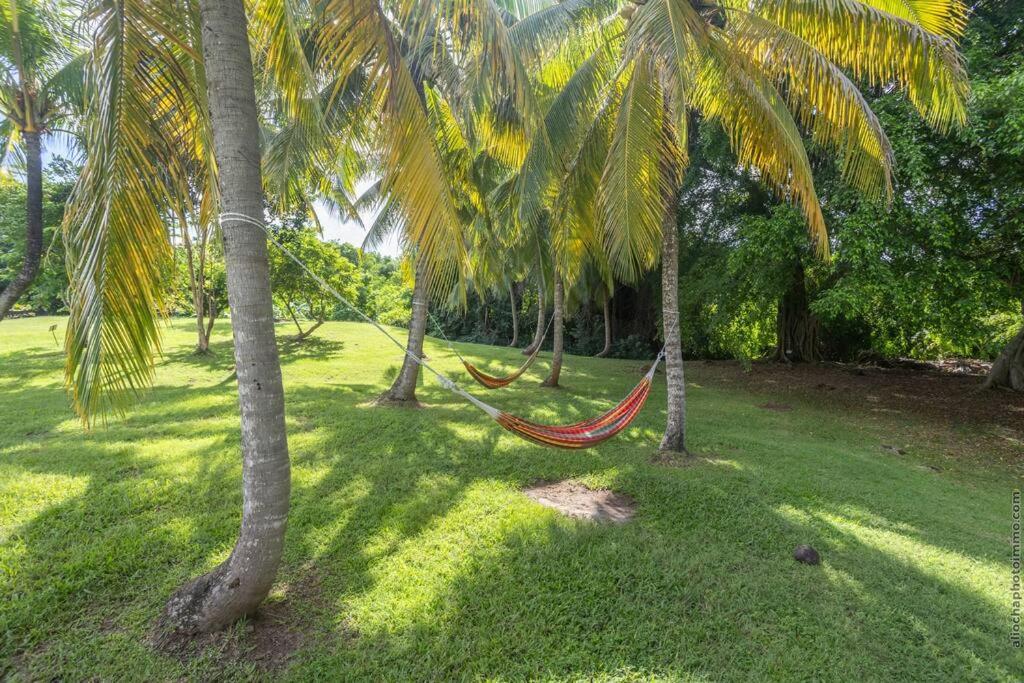 Zahrada ubytování Suite Tropicale Village Vacances