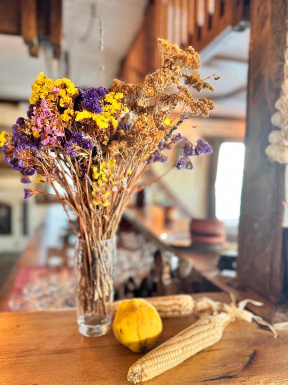 Guesthouse Perunov Konak - Resim 14