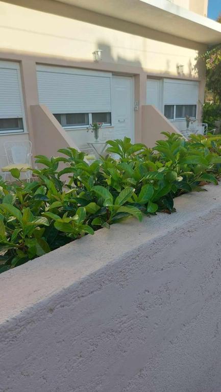 NN Rooms and Suites near Athens Airport - 17