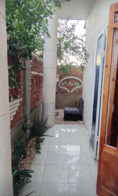 Fotografie z fotogalerie ubytování Pro Luxor guest house v destinaci Luxor