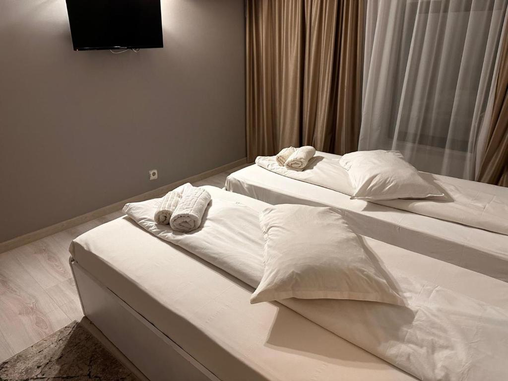 Hotel Green House - Twin Room