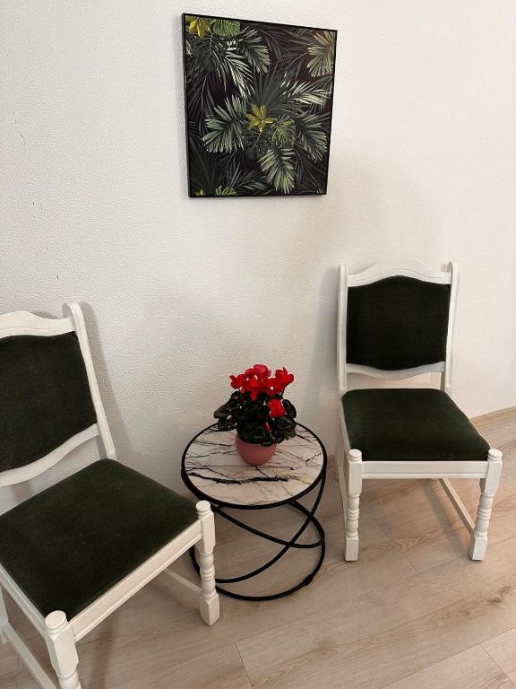 Hotel Green House - Resim 22