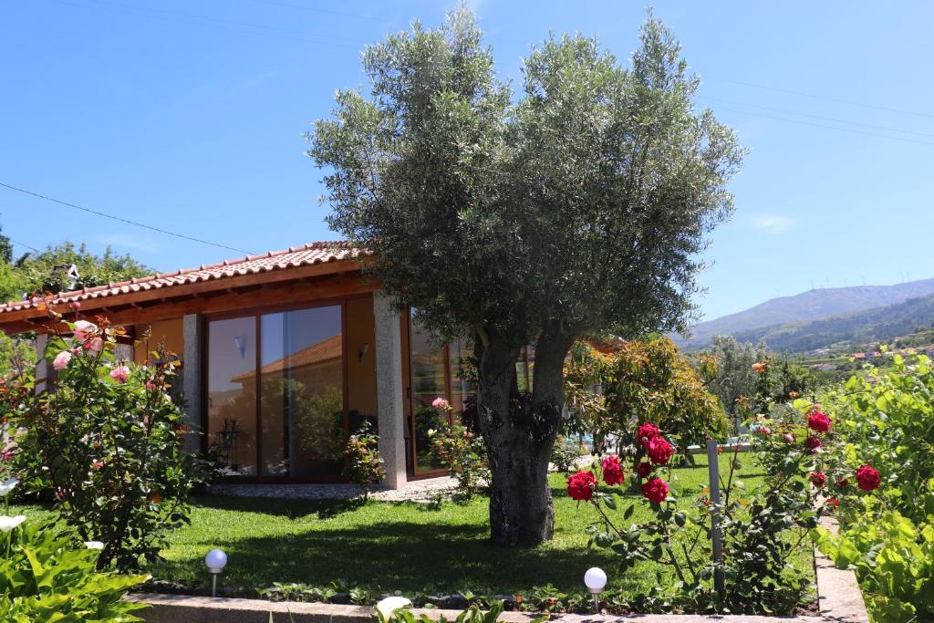 Casa das Eiras - Vakantiehuis