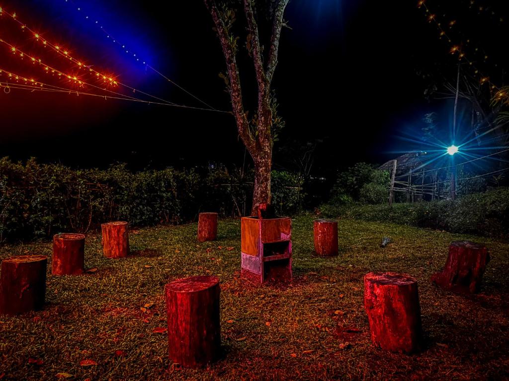 Zahrada ubytování Spies Munnar Camping
