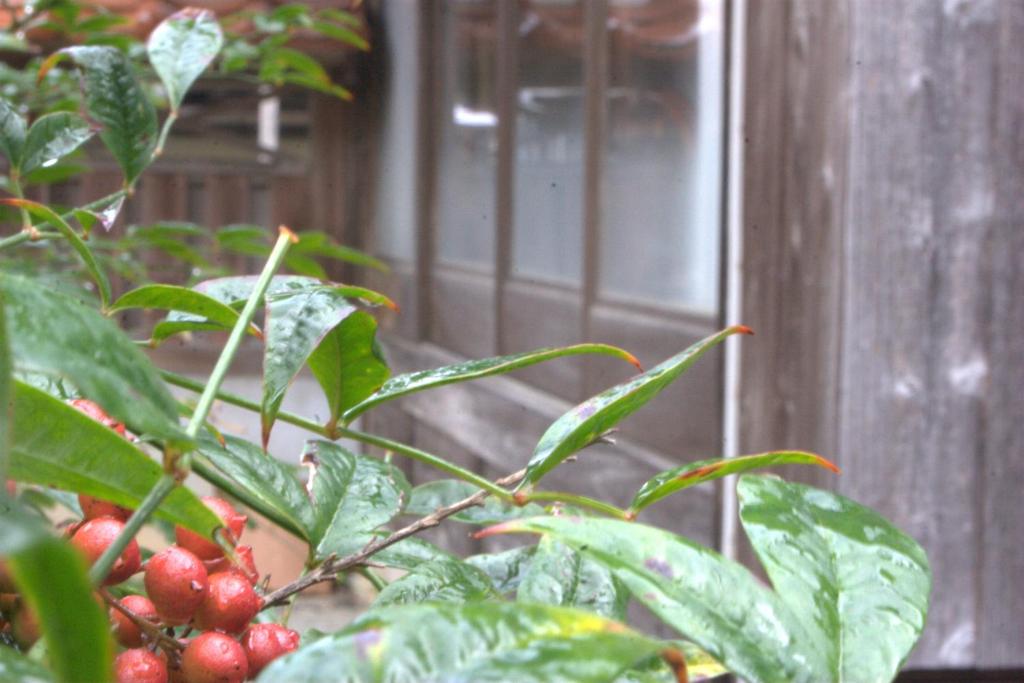 Zahrada ubytování 出雲一棟貸し 時代の宿 宮野屋