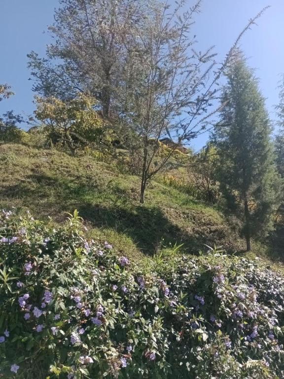 Zahrada ubytování Guané Glamping Ecolodge Jacuzzi Privado Oriente Antioqueño