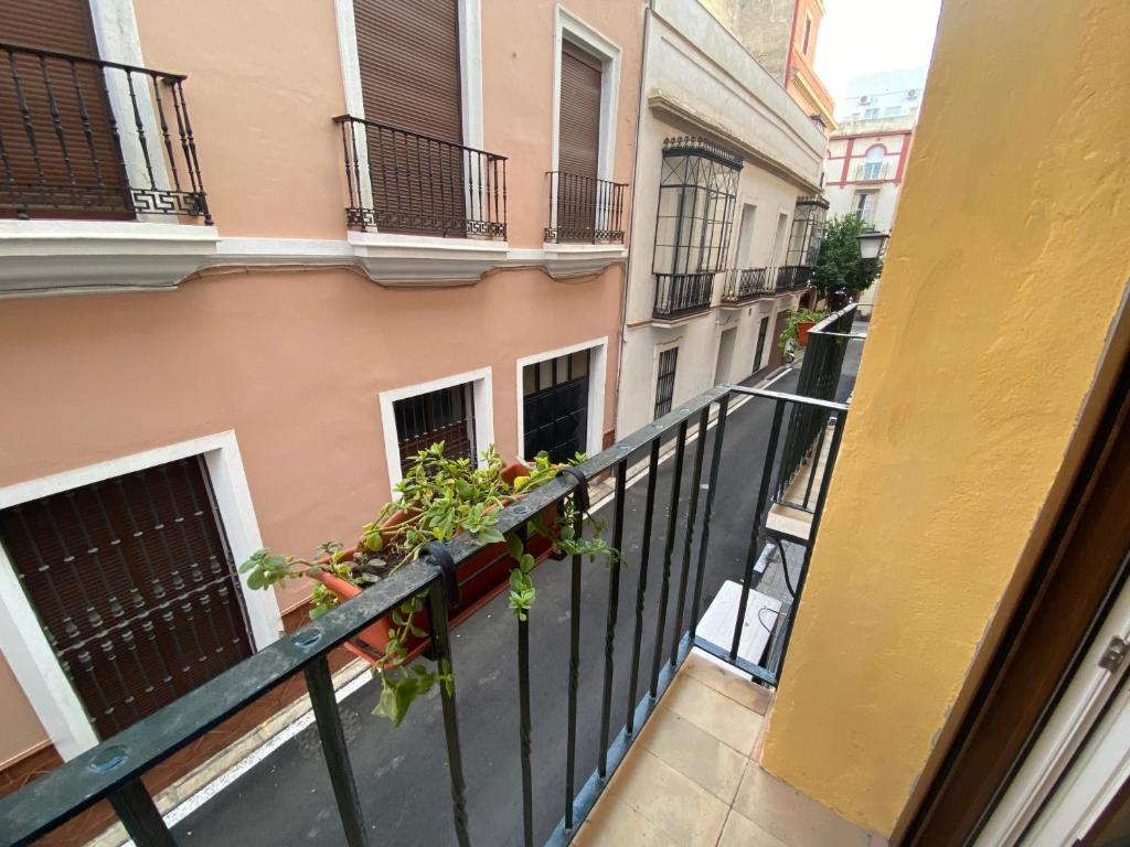Un balcón o terraza de AZAHAR MUSEO