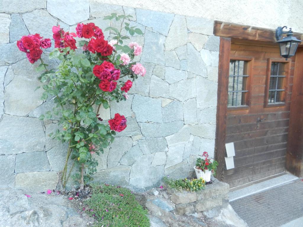 Zahrada ubytování Casa Elda