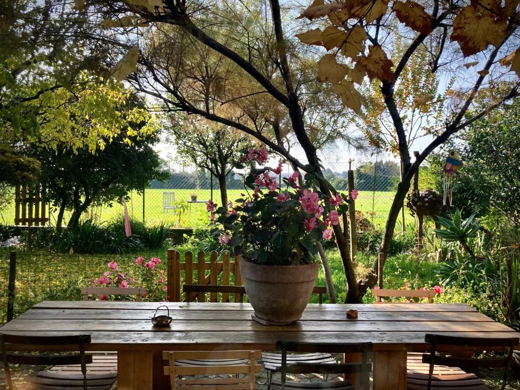 Buonocore Guesthouse - 17