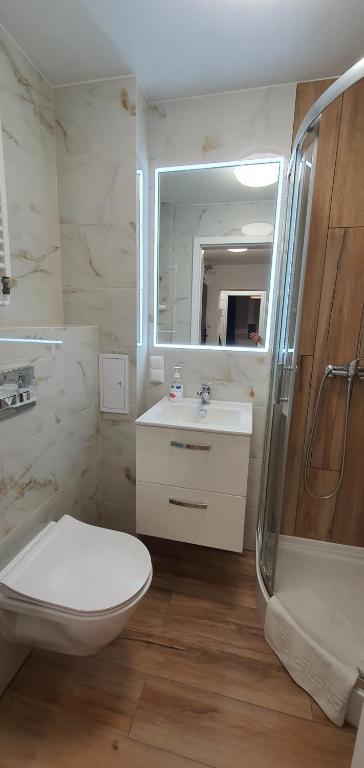 a bathroom with a toilet and a sink and a shower at Apartament Roanta in Polanica-Zdrój