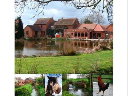 Malswick Mill Bed and Breakfast in Newent, Gloucestershire, England