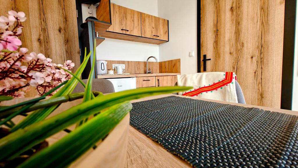 Willa Magdalena - 19