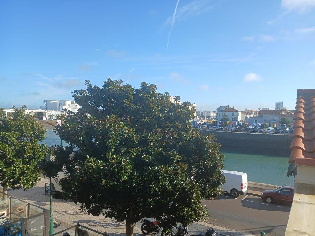 un arbre devant une rivière avec un grand navire dans l'établissement Rosemonde- Logement sur le quai de la chaume, à Les Sables-dʼOlonne