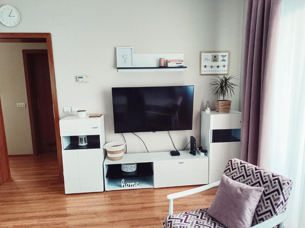 TV a/nebo společenská místnost v ubytování Apartman Đul