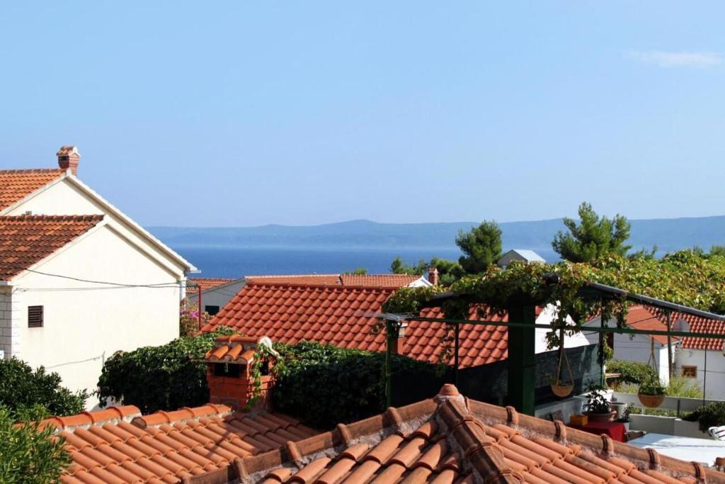 Příroda nedaleko apartmánu