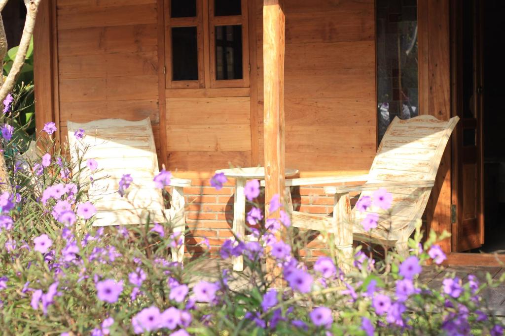 Yoga Searcher Bali - 18