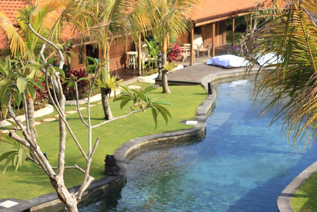 Yoga Searcher Bali - 6