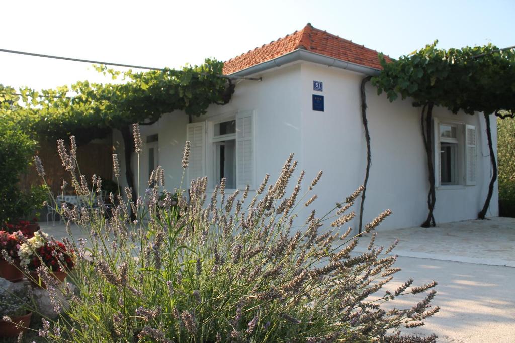 a white house with a flowering bush in front of it at Holiday Home Casa Bianca in Sukošan