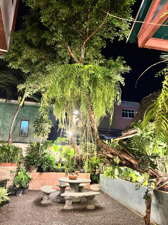 Sofia Hotel - Resim 7