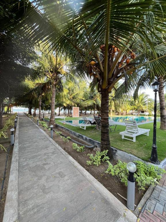 Zahrada ubytování NN Beach Resort Nilaveli