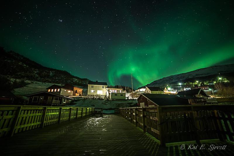 an aurora is dancing in the sky over a town at Elvegård Fjordcamp in Grov