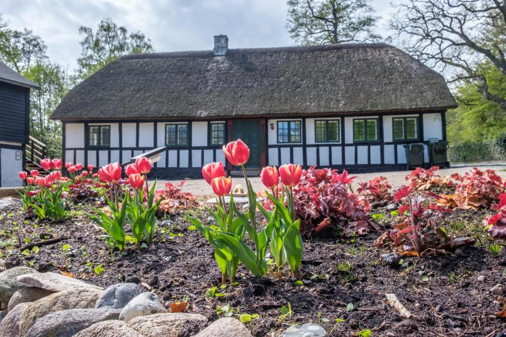 Vườn quanh Awesome Home In Ebeltoft With 3 Bedrooms And Internet