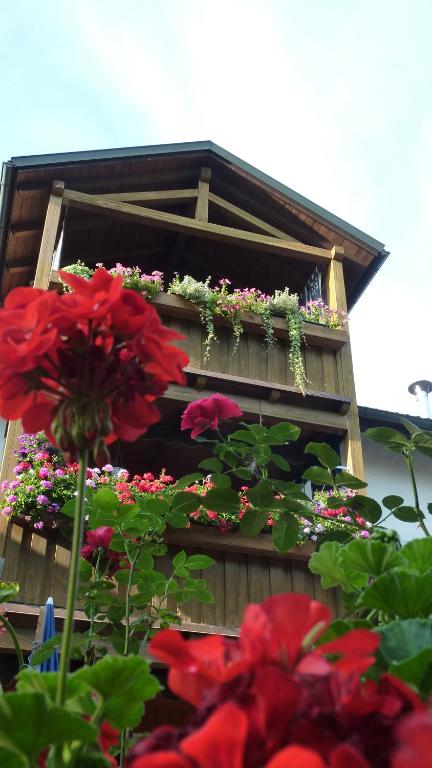 a group of flowers in a flower box at Ferienwohnung Hofer in Altötting