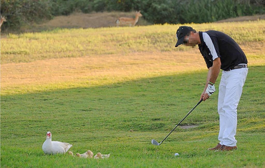 Golf pri dovolenkovom dome alebo okolí