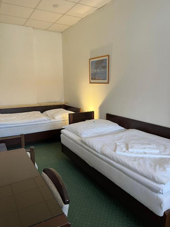 Uma cama ou camas num quarto em Hotel Omega Brno